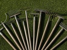 lawn dethatching rake recommendations