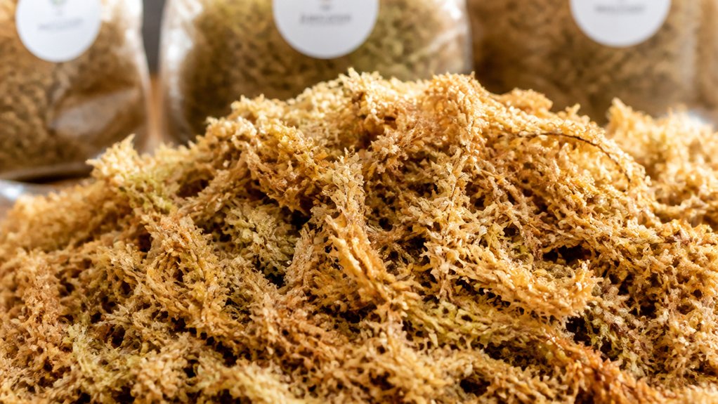 moisture purity suitability sustainability