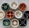 self watering pot inserts roundup