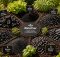 seven best biochar soil amendments for gardens