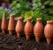 terracotta watering spikes guide