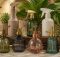 top 10 plant misting bottles