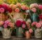 top 10 watering can roses