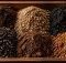 top aquatic plant soil substrates
