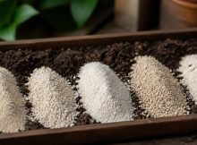 top bone meal soil amendments