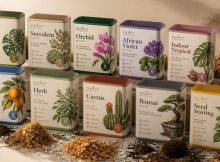 top carnivorous plant soil kits