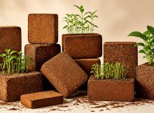 top coco coir bricks