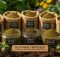 top kelp meal fertilizers