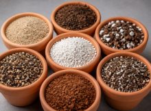 top succulent soil mixes thrumming year round