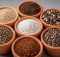 top succulent soil mixes thrumming year round