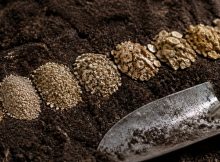 top vermiculite for garden soil
