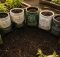 best mushroom compost bags