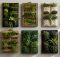 best wall planter pocket systems