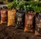 best wood chip mulch delivery