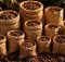 cocoa shell mulch recommendations