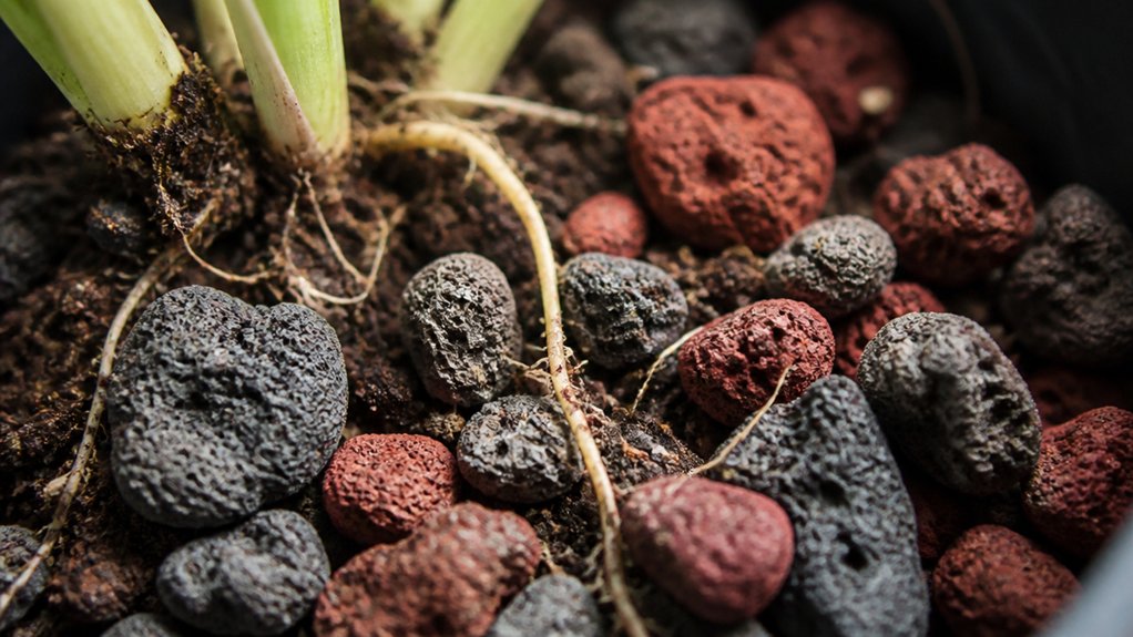 lava pumice soil characteristics