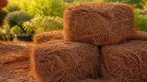 pine needle mulch advantages