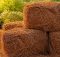 pine needle mulch advantages