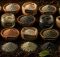 rock dust products boost garden growth fast