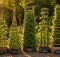 seven bean pole tower kits vertical