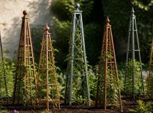 seven best obelisk plant supports