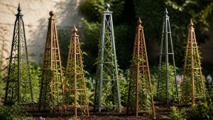 seven best obelisk plant supports