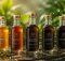 seven seaweed extract concentrates boost growth