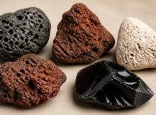 top horticulture lava pumice options
